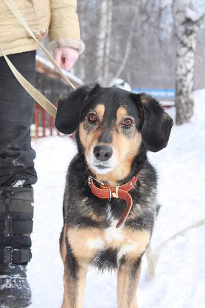 1920 X 2880 921.9 Kb - : , , !