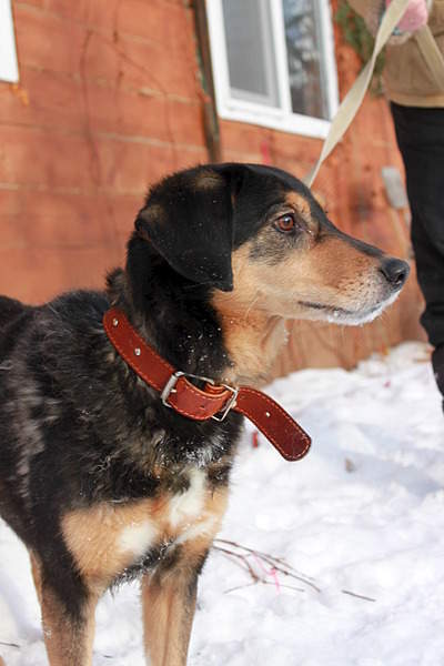 1920 X 2880 784.6 Kb 1920 X 2880 386.6 Kb 1920 X 2880 921.9 Kb - : , , !