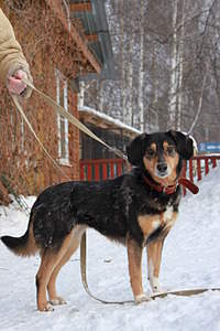 1920 X 2880 1018.0 Kb - : , , !