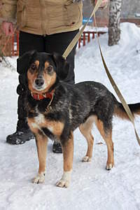 1920 X 2880 807.0 Kb 1920 X 2880 1018.0 Kb - : , , !