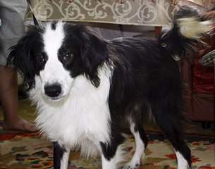 978 X 768 107.1 Kb      -