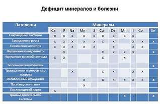 521 X 337  62.6 Kb -   , , , .