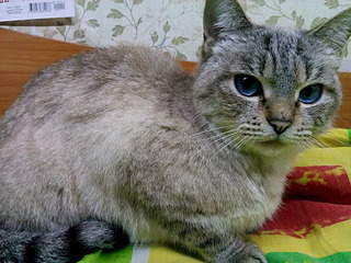 1920 X 1440 876.9 Kb     .     