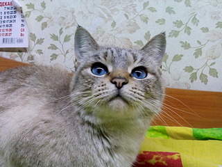 1920 X 1440 711.6 Kb 1920 X 1440 835.9 Kb 1920 X 1440 876.9 Kb     .     