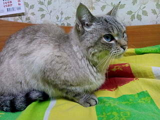 1920 X 1440 837.4 Kb 1920 X 1440 711.6 Kb 1920 X 1440 835.9 Kb 1920 X 1440 876.9 Kb     .     