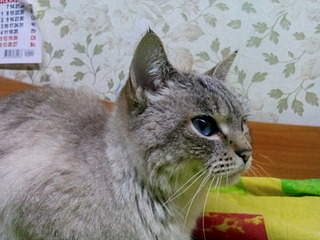 1920 X 1440 617.0 Kb 1920 X 1440 837.4 Kb 1920 X 1440 711.6 Kb 1920 X 1440 835.9 Kb 1920 X 1440 876.9 Kb     .     