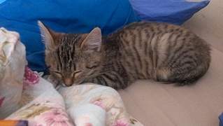 1920 X 1082 734.2 Kb  -    