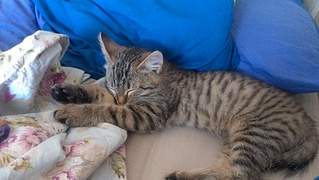 1920 X 1082 985.8 Kb 1920 X 1082 734.2 Kb  -    