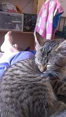 1840 X 3264 610.4 Kb 1920 X 1082 985.8 Kb 1920 X 1082 734.2 Kb  -    