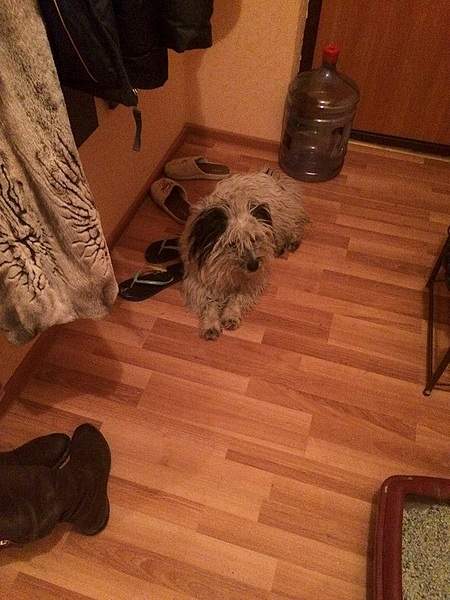 600 X 800 189.5 Kb SOS!  .     !