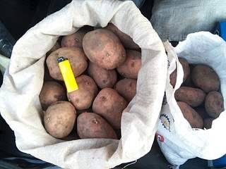 1920 X 1440 711.0 Kb  !