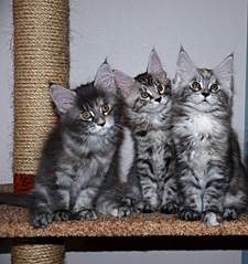 1920 X 2039 357.4 Kb   -  -