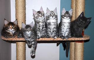 1920 X 1227 266.3 Kb 807 X 700 76.6 Kb 1920 X 2039 357.4 Kb   -  -