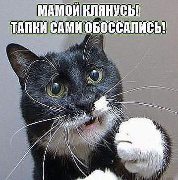 359 x 364 Улыбнемся?