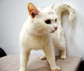 1208 X 1024 140.8 Kb      