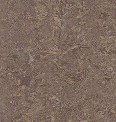 438 X 463 39.1 Kb 438 X 472 40.9 Kb   