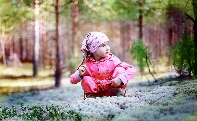 1280 X 789 210.7 Kb   |    