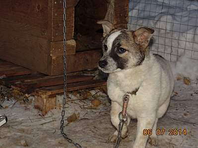 807 X 605 90.7 Kb    - 