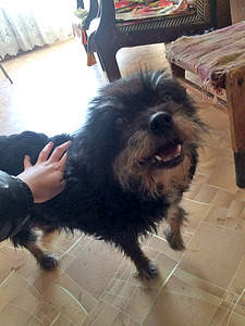 768 X 1024 241.9 Kb       !