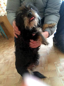 768 X 1024 184.6 Kb 768 X 1024 241.9 Kb       !