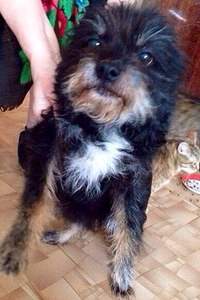 390 X 585 61.5 Kb 768 X 1024 184.6 Kb 768 X 1024 241.9 Kb       !