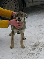 768 X 1024 124.7 Kb 768 X 1024 158.9 Kb     