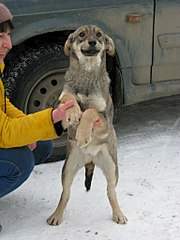 768 X 1024 132.9 Kb 768 X 1024 124.7 Kb 768 X 1024 158.9 Kb     