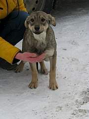 768 X 1024 118.9 Kb 768 X 1024 132.9 Kb 768 X 1024 124.7 Kb 768 X 1024 158.9 Kb     