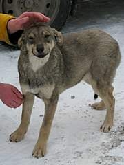 768 X 1024 136.9 Kb 768 X 1024 118.9 Kb 768 X 1024 132.9 Kb 768 X 1024 124.7 Kb 768 X 1024 158.9 Kb     