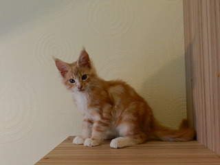 1920 X 1440 573.8 Kb 1920 X 1440 556.9 Kb      ' '  