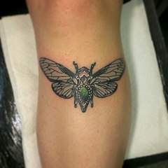 882 X 882 79.8 Kb 'Traditional Tattoo' -   