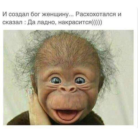 480 x 480 Улыбнемся?