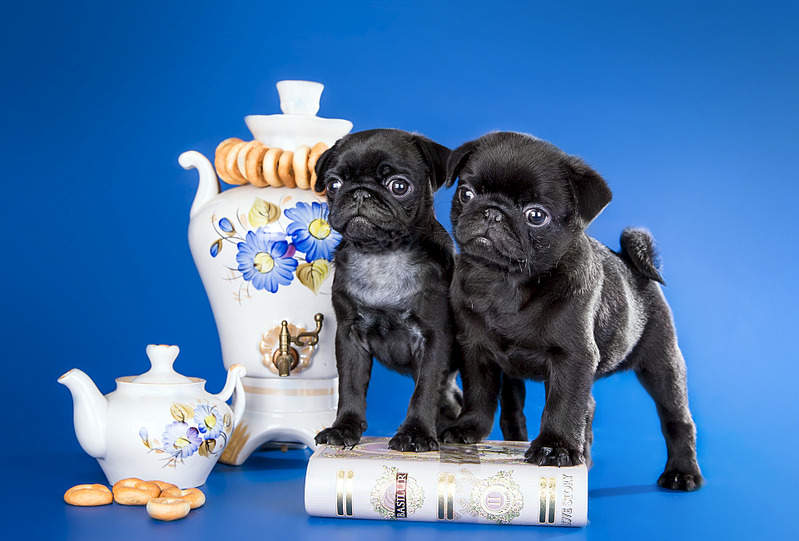 1920 X 1299 507.4 Kb  -  !