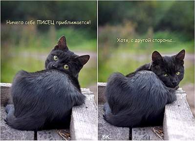 1100 X 793 115.8 Kb Улыбнемся?