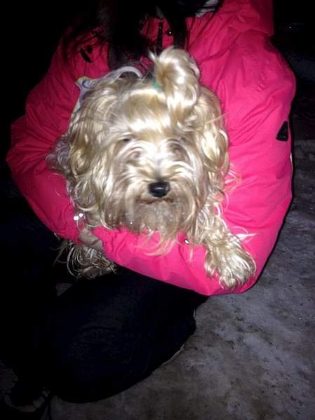 605 X 807 71.6 Kb   .