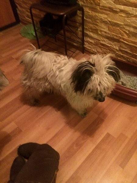 600 X 800 190.2 Kb  ().  