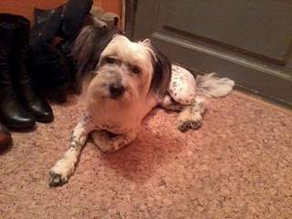 800 X 600 118.5 Kb 800 X 600 125.6 Kb  ().  