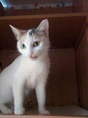 605 X 807  61.1 Kb  .    .