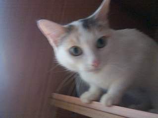 807 X 605  53.4 Kb 605 X 807  56.7 Kb 605 X 807  71.2 Kb 605 X 807  59.3 Kb 605 X 807  61.1 Kb  .    .