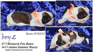 720 X 402 60.6 Kb 720 X 438 64.0 Kb  -