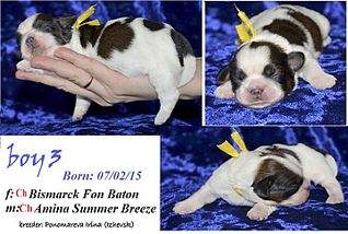 720 X 483 69.4 Kb 720 X 402 60.6 Kb 720 X 438 64.0 Kb  -