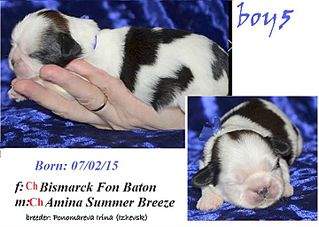 720 X 512 60.4 Kb 720 X 385 58.6 Kb 720 X 483 69.4 Kb 720 X 402 60.6 Kb 720 X 438 64.0 Kb  -