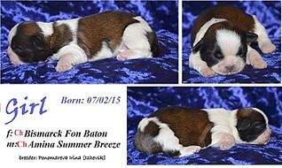 720 X 429 63.2 Kb  -