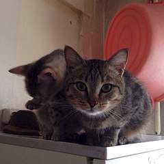 604 X 604 50.2 Kb 8    ...