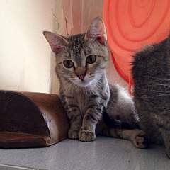 604 X 604 64.5 Kb 8    ...