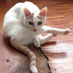 604 X 604  75.0 Kb 8    ...