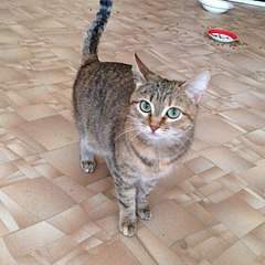 604 X 604 74.0 Kb 8    ...