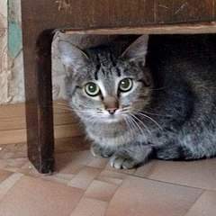 604 X 604 69.9 Kb 8    ...