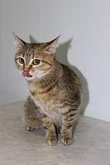 402 X 604 36.8 Kb 8    ...