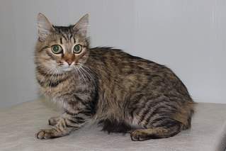 604 X 403 40.2 Kb 8    ...